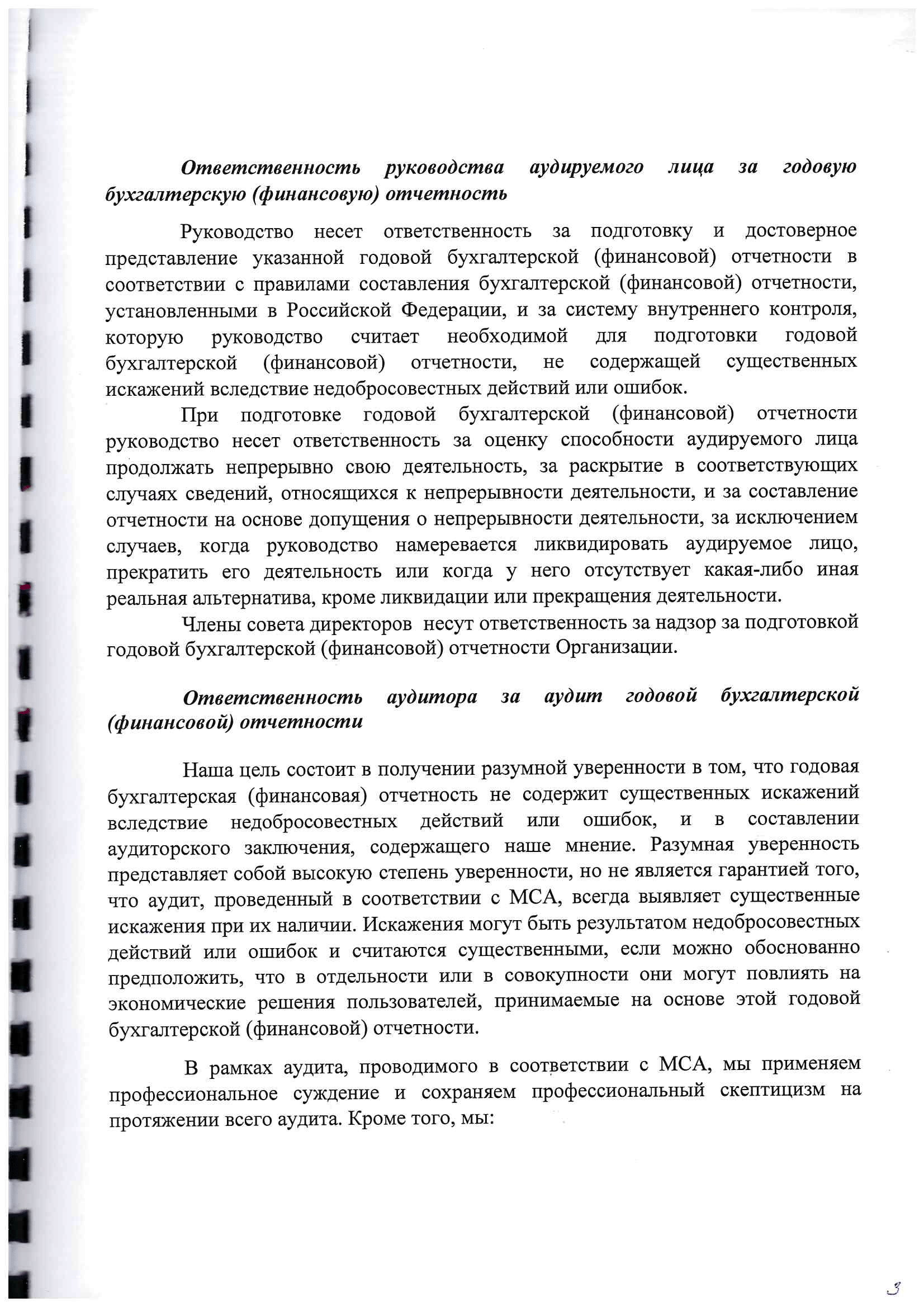 Аудиторское заключение за 2020-3